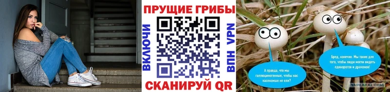 Галлюциногенные грибы MAGIC MUSHROOMS  Переславль-Залесский 